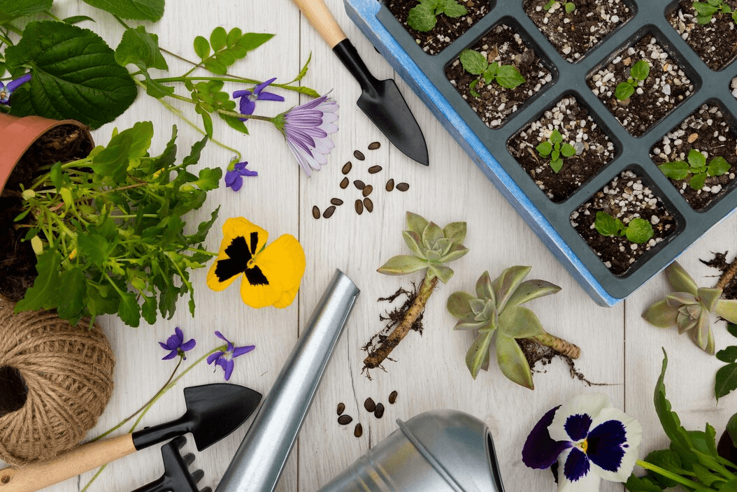 Herb Garden: Know About It
