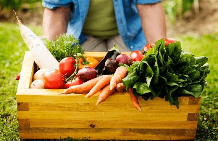 What is Vegetable Gardening